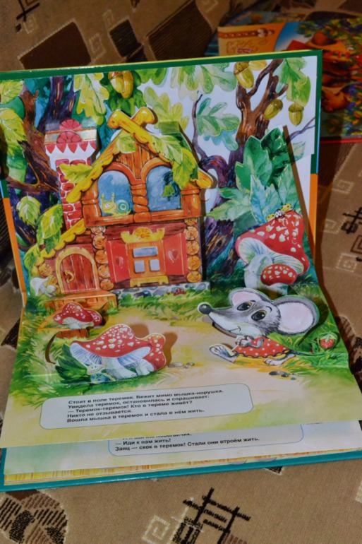 Книжное пополнение 1,7 г.