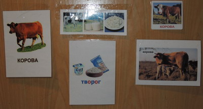 ТН № 14 Корова, молоко, творог. 1г 5м.