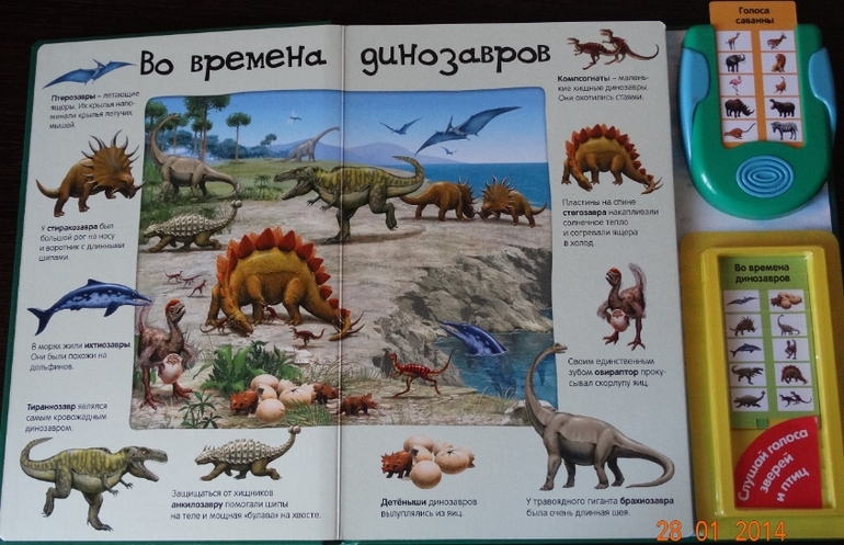 Замечательная книга по очень низкой цене!