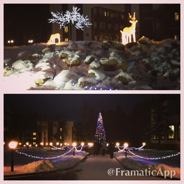 Яхонты Заповедник Таруса 24-01-2014