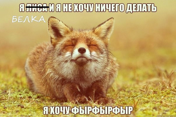 Понравилось