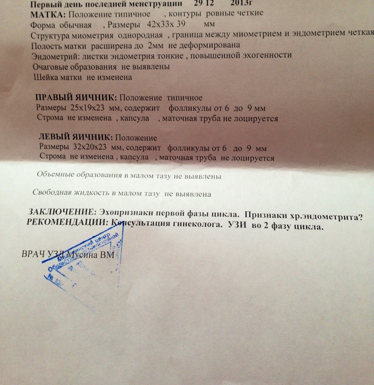 Сделала узи, подскажите!!!