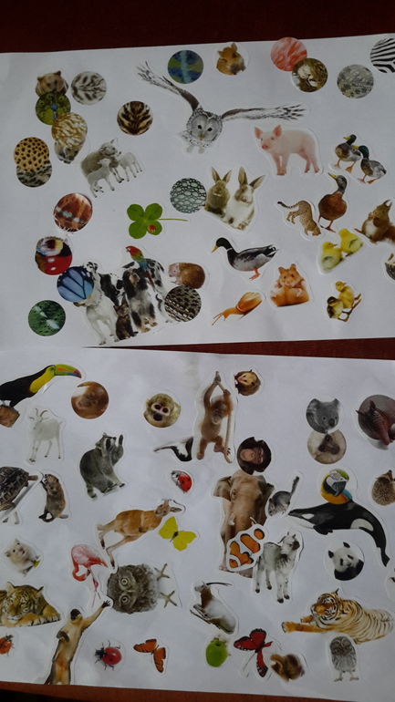 Клеить наклейки