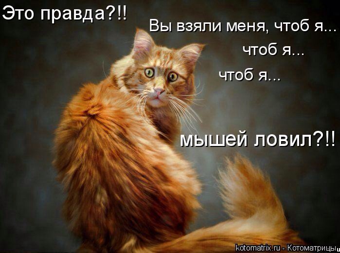 Веселые картинки увидеть не хотите ли... ;)