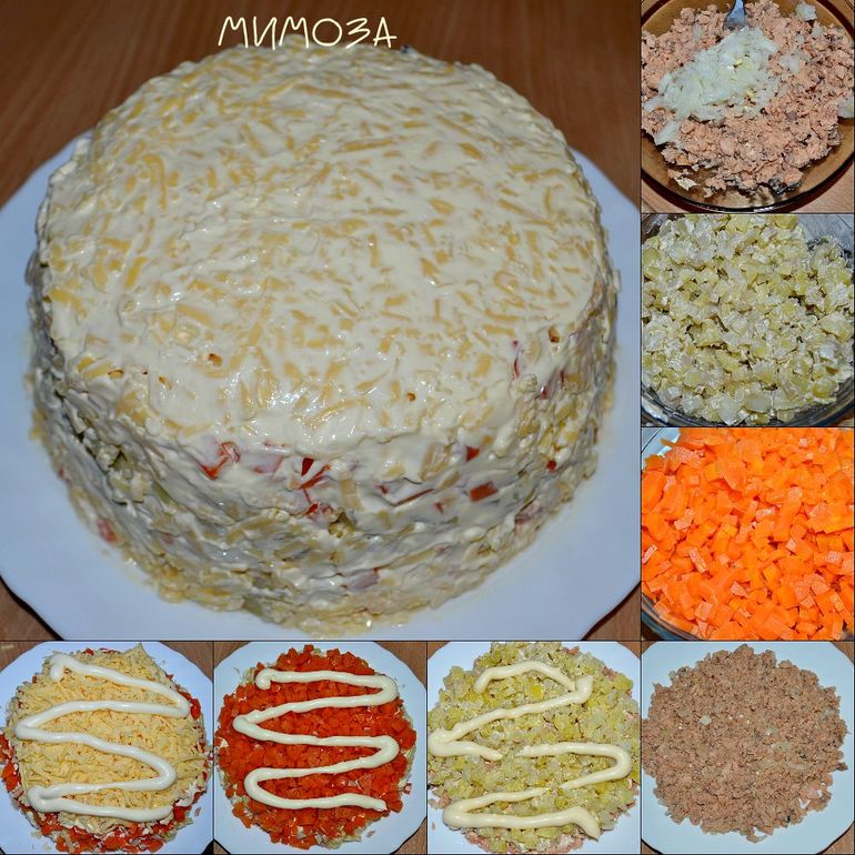 МИМОЗА