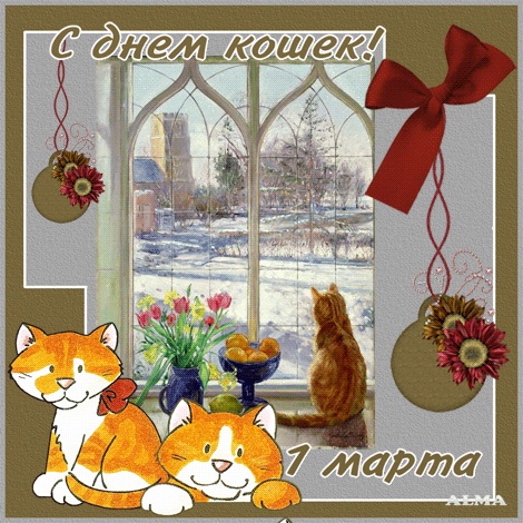 С днем кошек