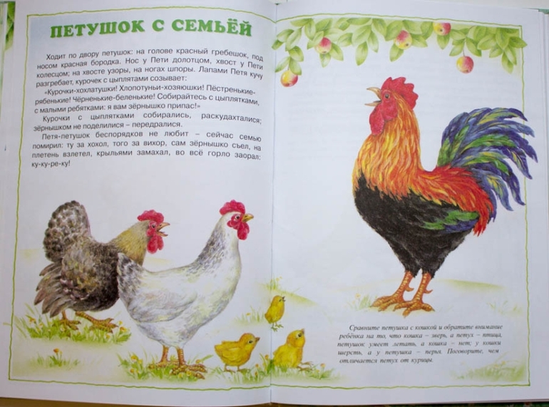 Книги-мечты для развития речи
