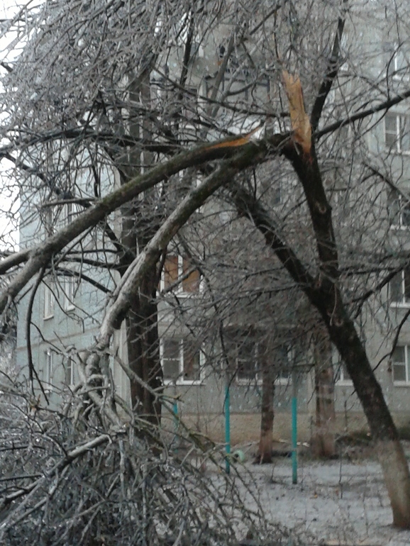 Зима в Краснодаре!