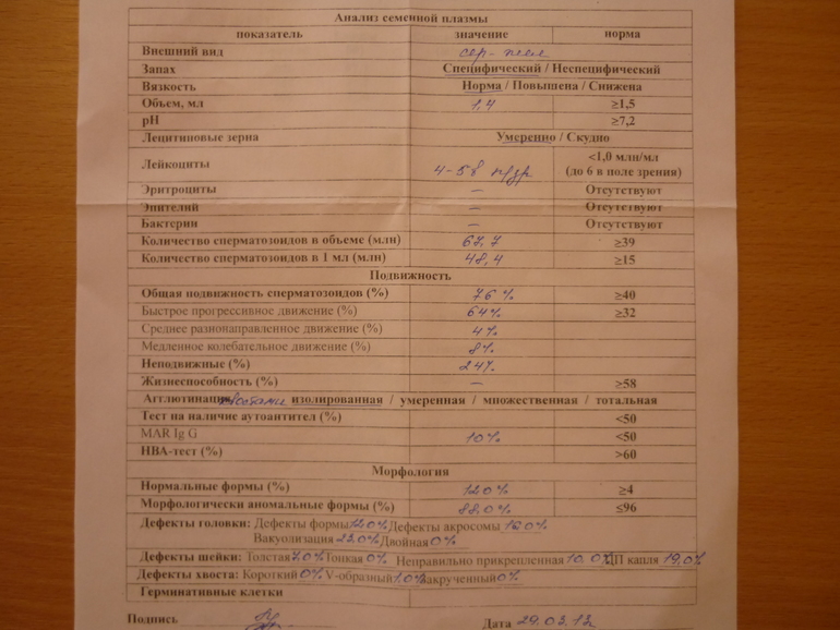 СГ.
