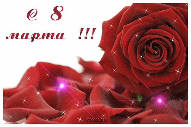 Какое красивое у нас ББ сегодня)))