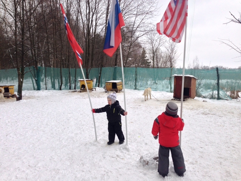 В гостях у хаски)