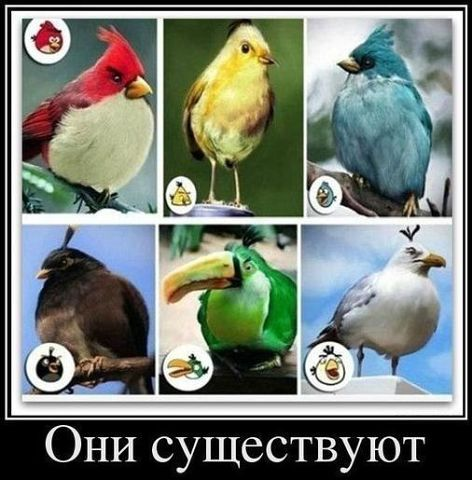 Время улыбнуться:)