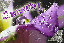 Благодарю!!!