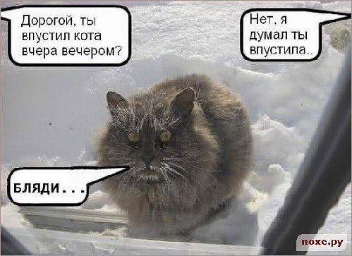 Улыбнуло.