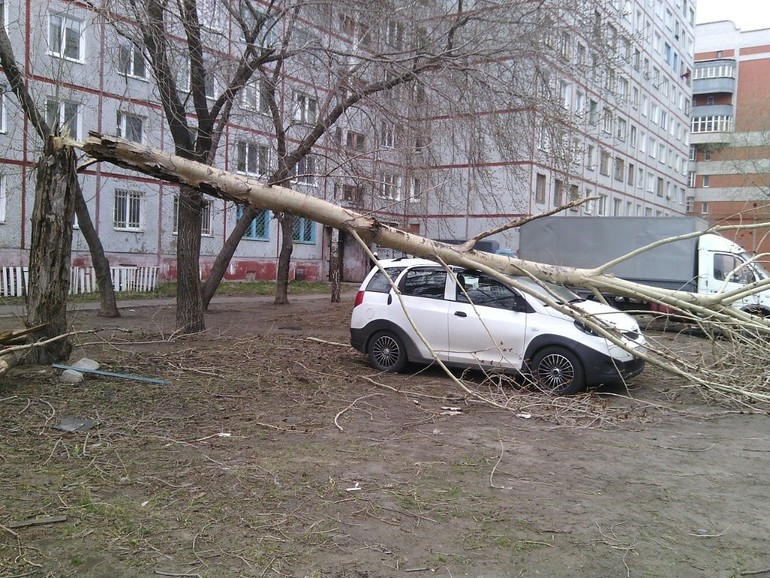 Ужасы нашего городка