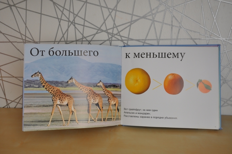 33ac0119f13124ff32fdbafe03e1a2fb.jpg