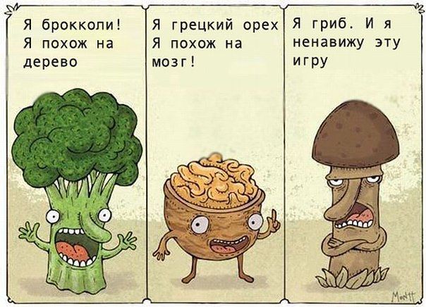 С юмором по жизни....