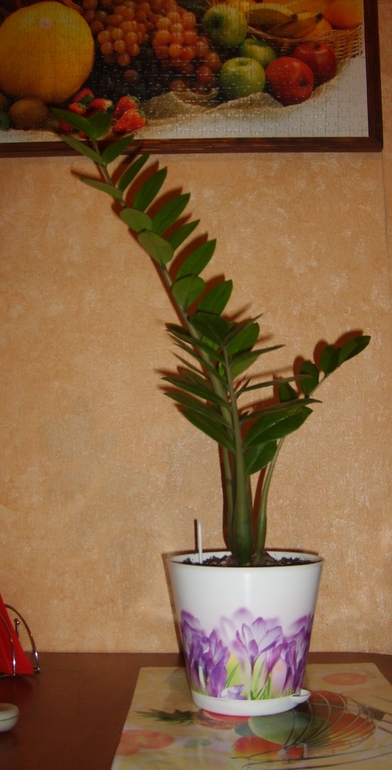 Замик