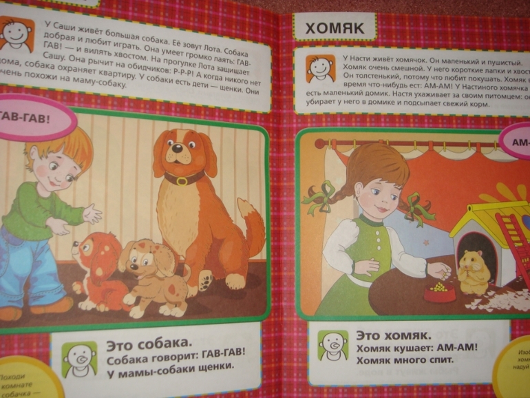 Новый ребенок. Гений с пеленок.