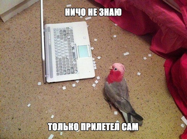 Время улыбнуться.