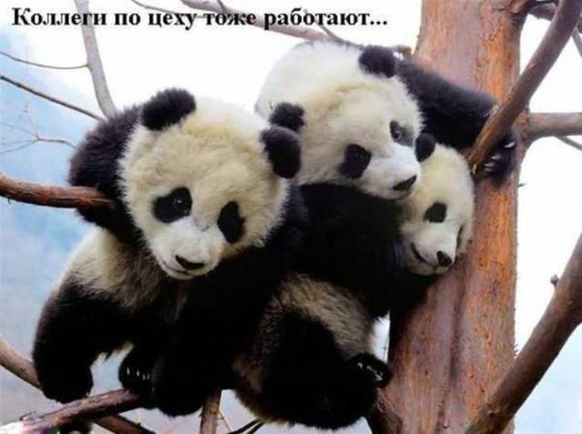 Господи, ну зачем я здесь сегодня???