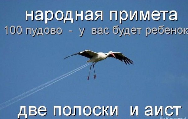 Отвлекись))