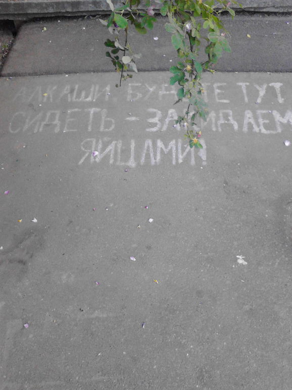 Фраза дня.