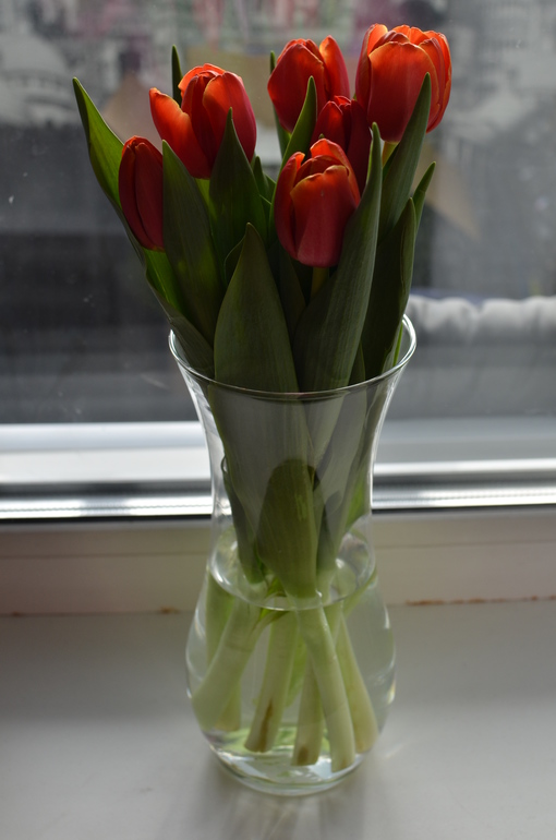 Home, sweet home. День 5. Нежное