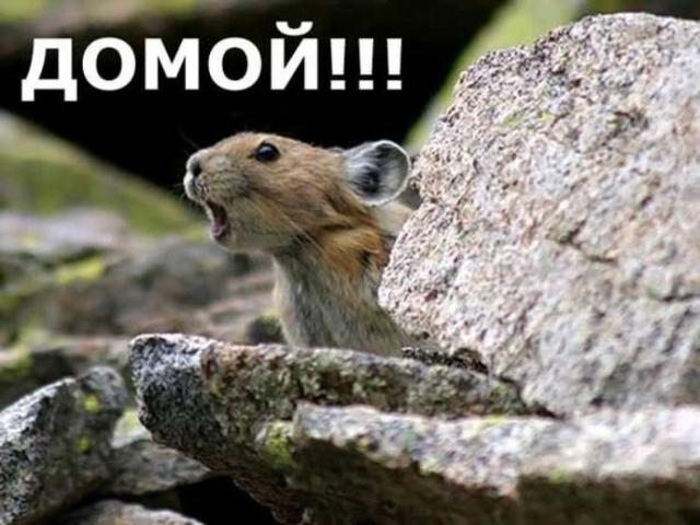 Господи, ну зачем я здесь сегодня???