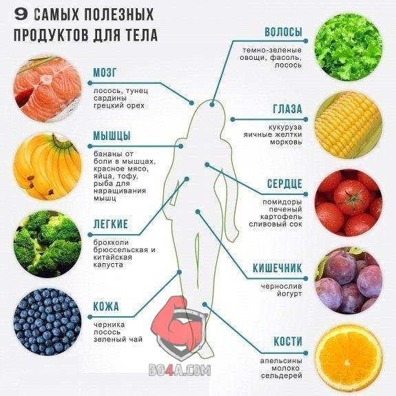 9 самых полезных продуктов для тела