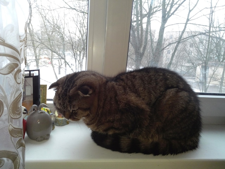 Плюша)