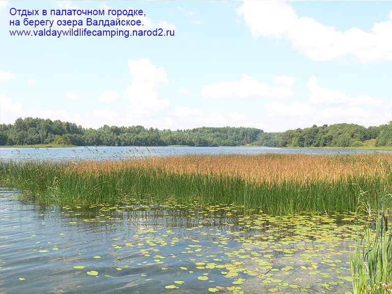 На природу с палатками!