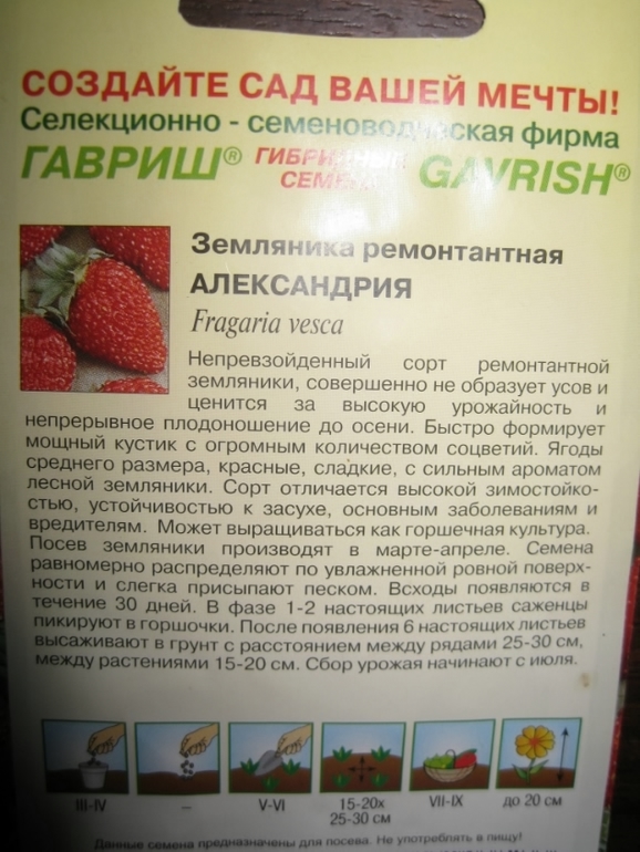как сажать,где покупать,что посоветуете по посадке?