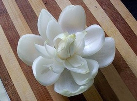 Цветы из лука пошаговое Цветы из лука пошаговое