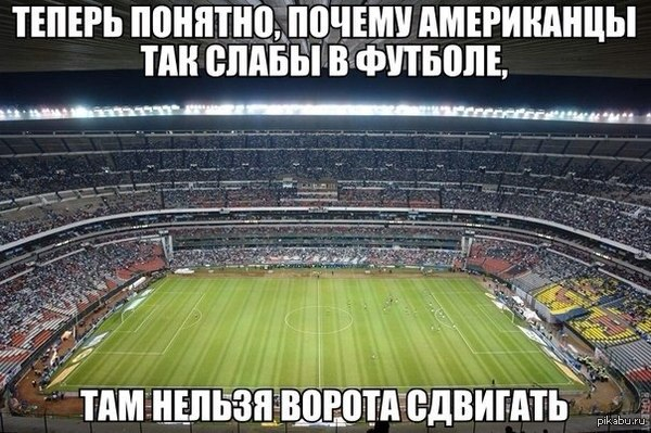 Котята и олимпиада