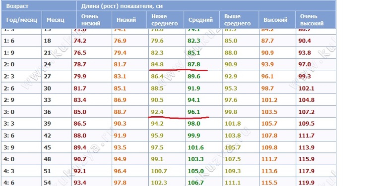 Зимний комбинезон.
