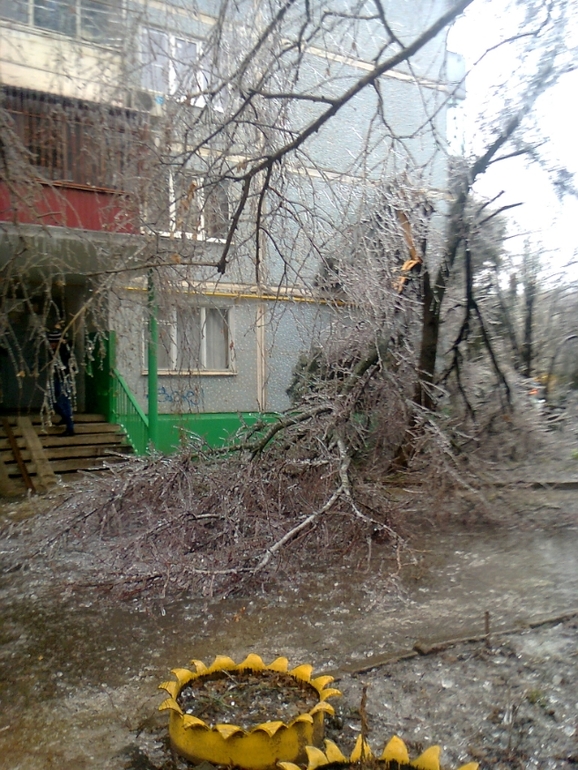 В продолжении ледяной темы..