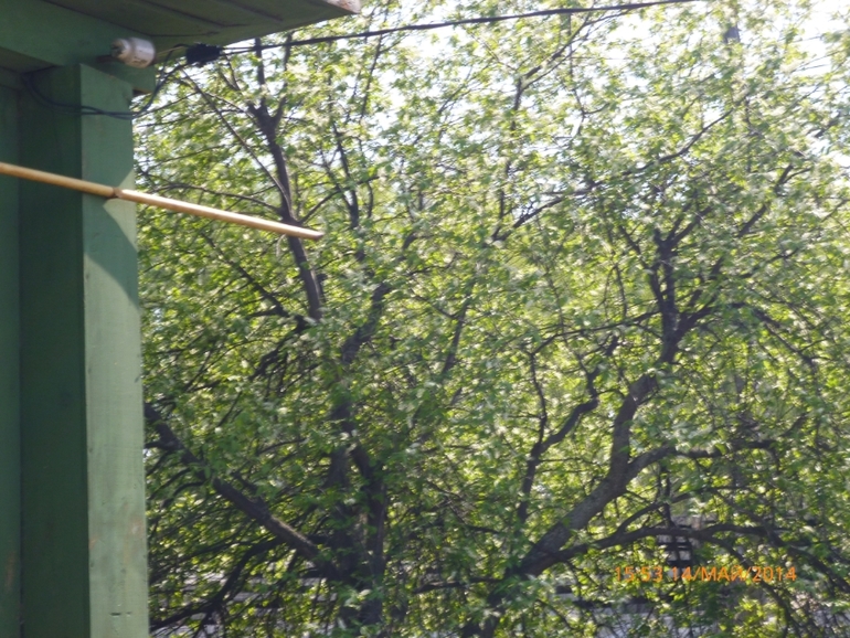 74/8 - Ёжики)
