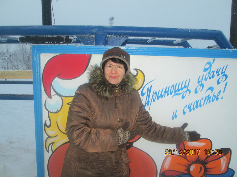 С наступающим годом лошадки !