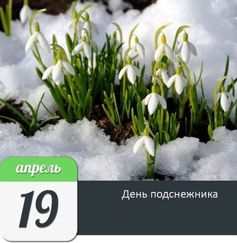 мои милые девочки с праздником