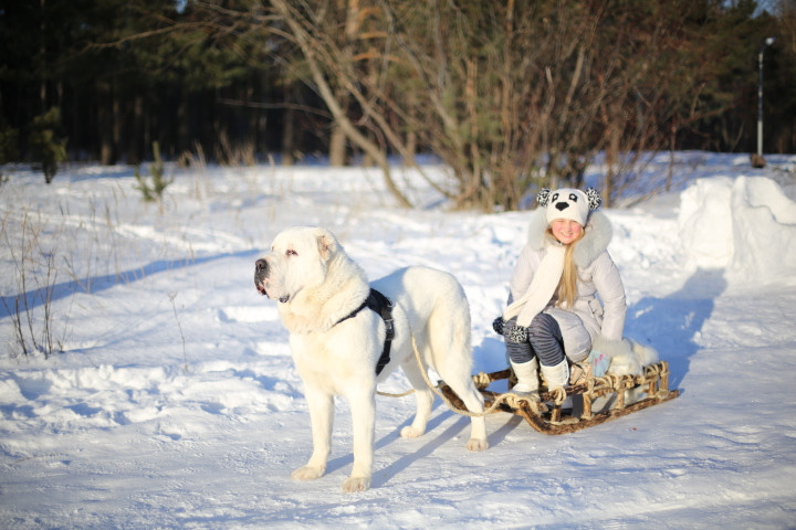 Зимняя фотосессия 2014) Продолжение)