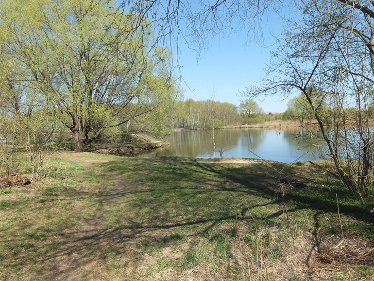 Просто прогулка