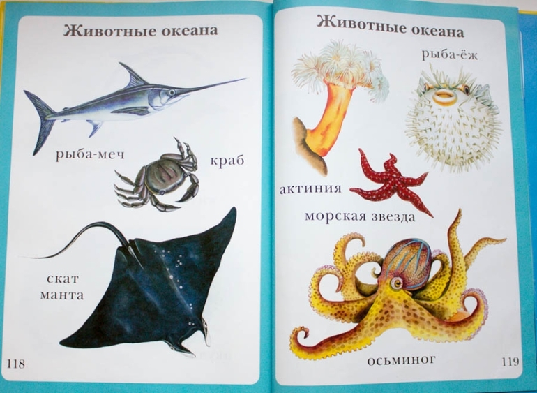 Наши книги до года