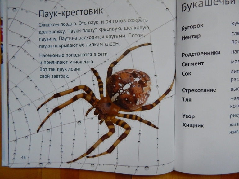 Книжка для сыночка (апрель).