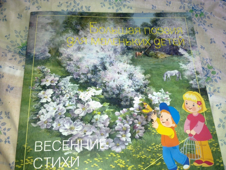 Новые поступления книжечек.