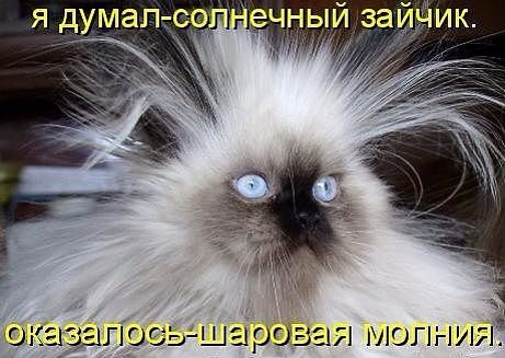 Веселые картинки увидеть не хотите ли... ;)