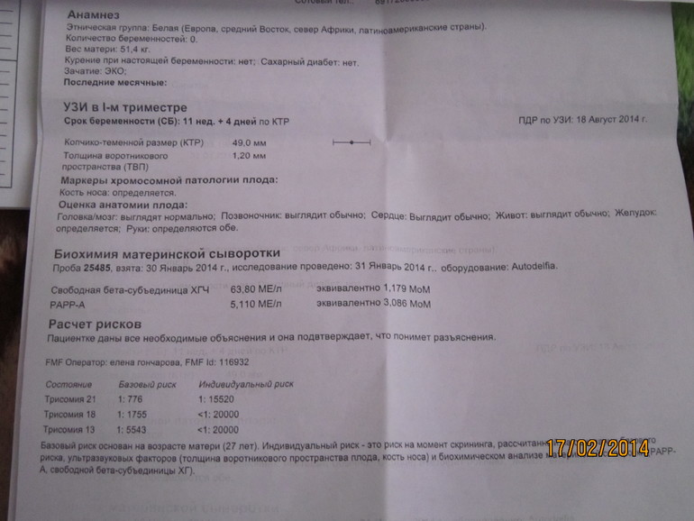Как расшифровать результат скрининга 1 триместр?