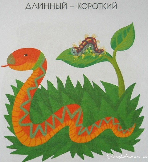 ТН