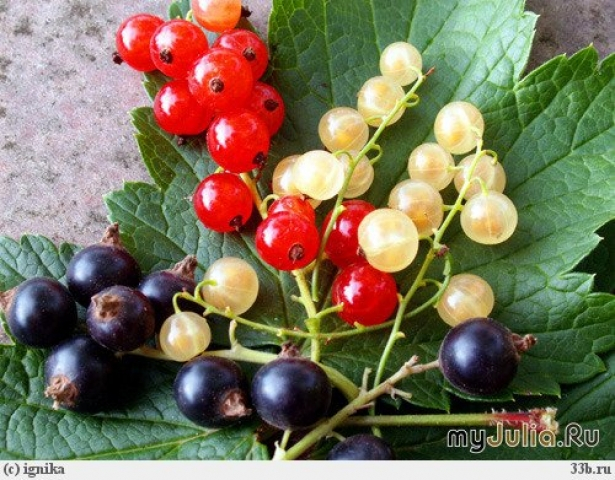 Куплю