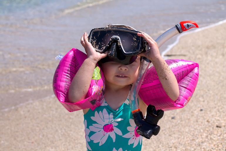2.6